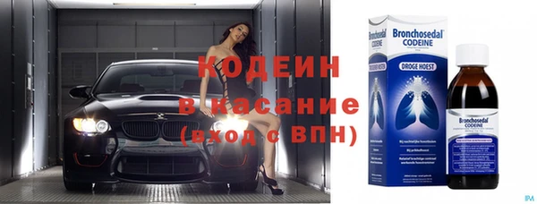 прущие грибы Алексеевка