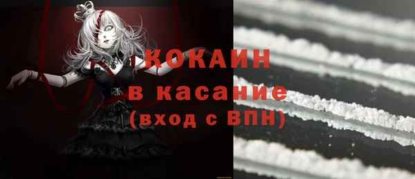 прущие грибы Алексеевка