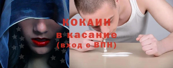 прущие грибы Алексеевка