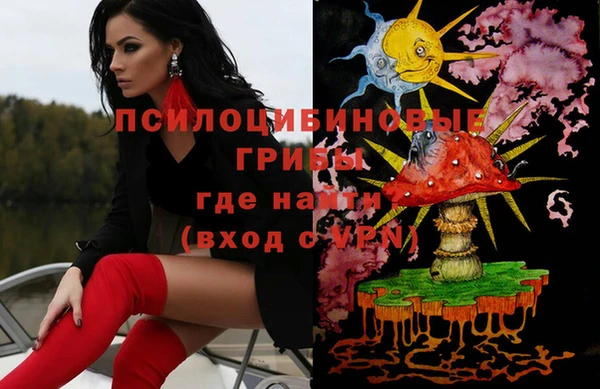 крисы Медвежьегорск