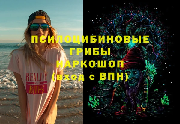 молекула духа Алексин