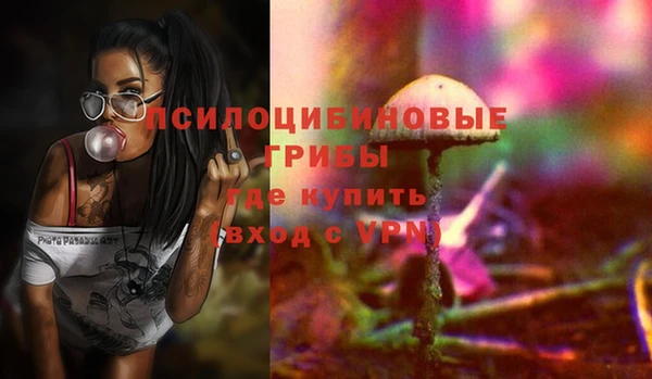 молекула духа Алексин